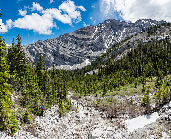 Descending the creek.