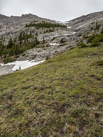 We would ascend to the tree island at center and then up and left, avoiding any drop-offs in the center of the drainage visible at right.