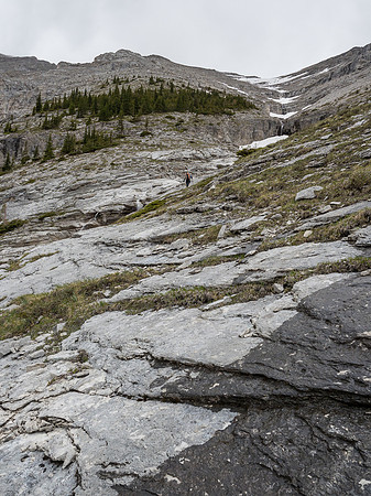 Kev ascends slabby terrain beneath the tree island. The summit is out of sight at center here.