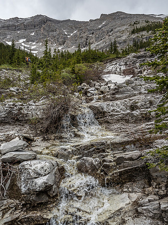 Kev ascends the lovely terrain around the creek draining the SE bowl of Head.