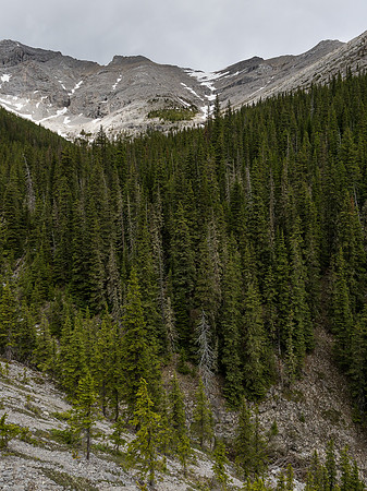 Looking across the main creek towards the obvious tree island in the SE bowl.