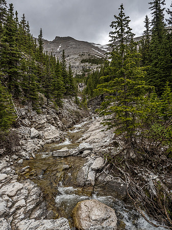Crossing the main drainage and looking up at the tree island and easy ascent slopes.