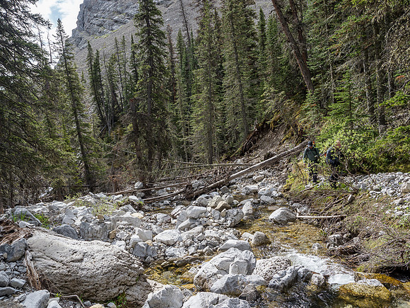 Looking downstream at the spot where we ascended a steep ridge between the two drainages that led us to treeline.