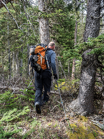 Slightly more complicated bushwhacking along the ridge crest south of the main drainage.