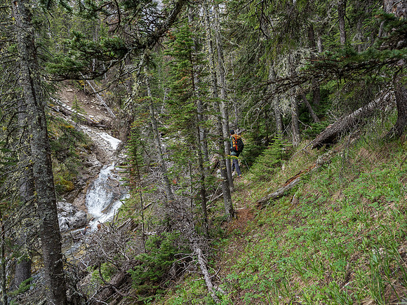 A waterfall in the creek as we pass by.