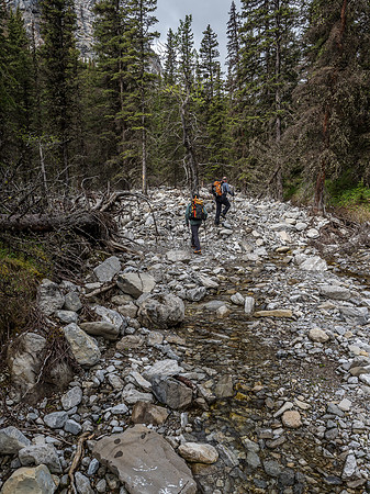 We tried the creekbed a few times but didn't linger due to awful deadfall.