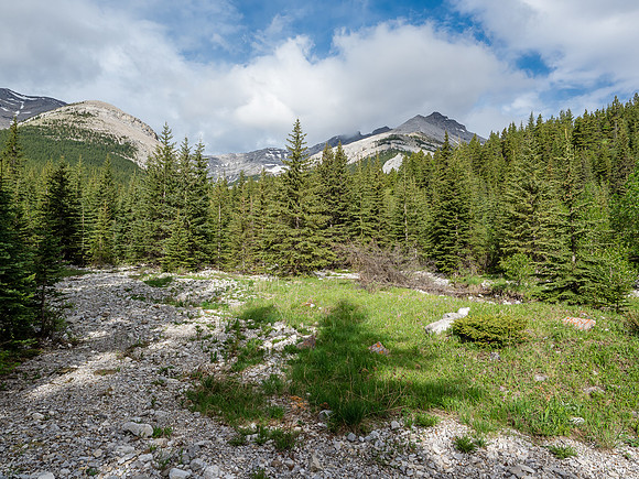 Looking up the drainage towards Mount Head - clouds are thickening but we're still in sun here.