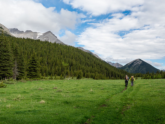 Lovely open sections along the trail give us glimpses of our objective, looking big here looming to the left.