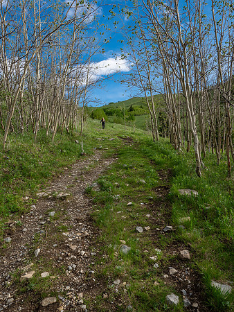 At Grass Pass.