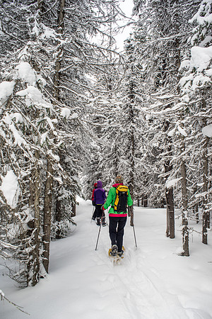A gorgeous day for snowshoeing as we make our way to the lower lake.