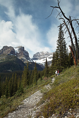 Looking back along the Wonder Pass Trail.