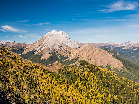 There's gold in them hills!