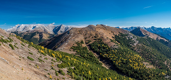 Looking back along Odlum Ridge and our return route.