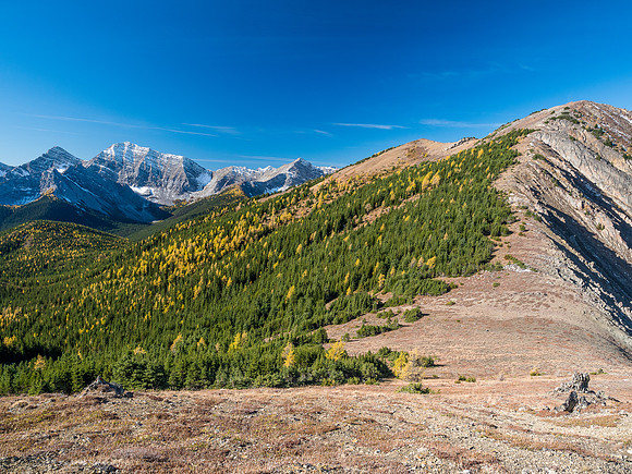 Great fall scenes.