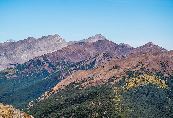 Grizzly and Highwood Ridges with Tyrwhitt and Pocaterra in the distance.