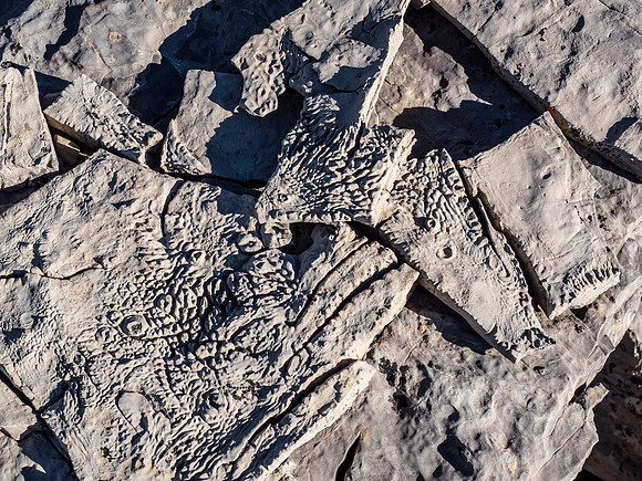 Looks like trace fossils perhaps? Or maybe just water?