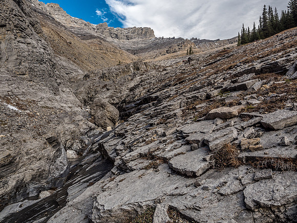 Canyon scenes.