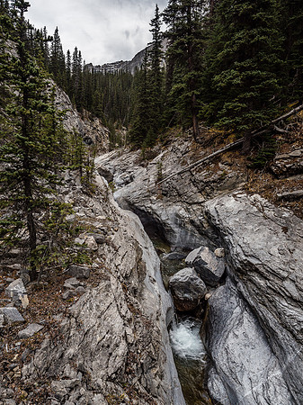 In the canyon.
