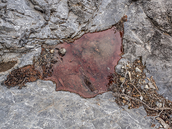 Interesting red pool of water.