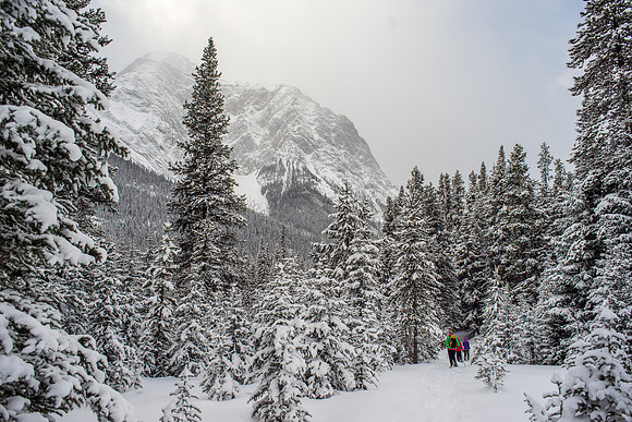 A gorgeous day for snowshoeing as we make our way to the lower lake.