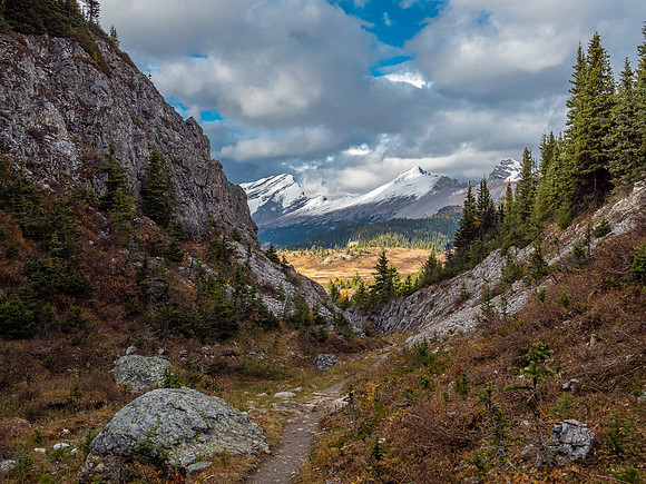 Looking back through "the gap" between Assiniboine and Og Meadows, where I've come from, towards Golden Mountain (C) and Nasswald Peak (R).