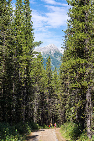 Hiking back along the Powerline Trail to the Elk Pass trail head.