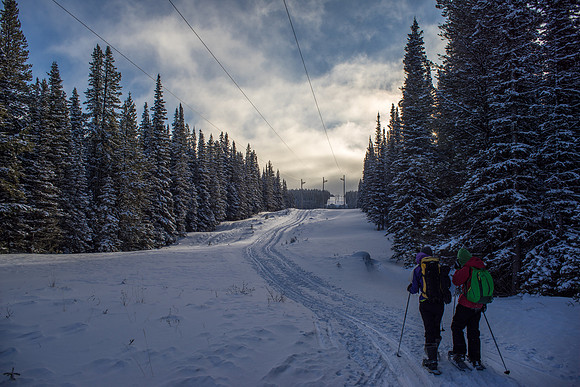 At the top of the first hill. The 'shoe track is off to the left here.