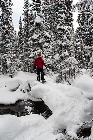 Most bridges are either washed out completely or misaligned with the original trail and hard to cross properly.