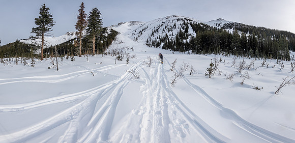 Heading up the main avalanche gully. We transitioned to the south one on the right a bit higher.
