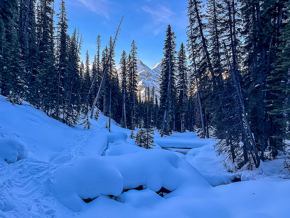View back to the bridge over Headwall Creek.
