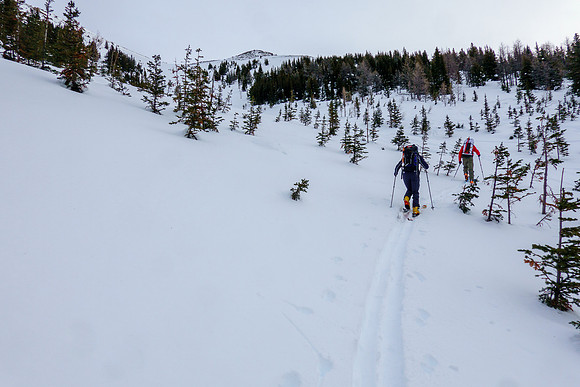 Skiing into the most southerly avalanche gully.'