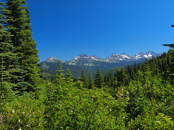 Looking at the Cheam Range. From left to right, Cheam, Lady, Knight, Baby Munday, Steward, The Still, Welch and Foley Peak.