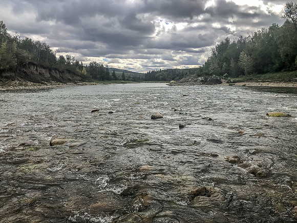 This was a section of river that was simply too shallow to canoe through.