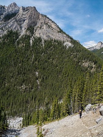 Exiting the upper drainage down to Cougar Creek.