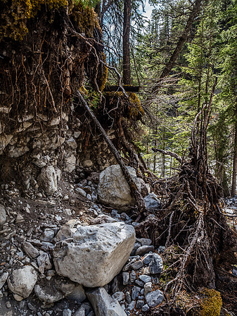 Cougar Creek.