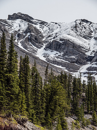 Exiting the upper drainage down to Cougar Creek.