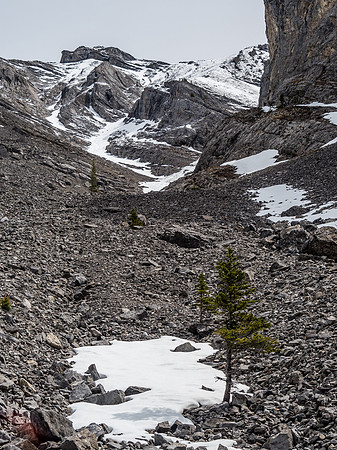 Looking back at the route - spot the people coming down from the high col.