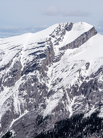 Mount Townsend is a LONG bloody way up Cougar Creek! It has been getting more and more popular after many years of neglect.
