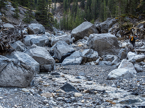 Cougar Creek.