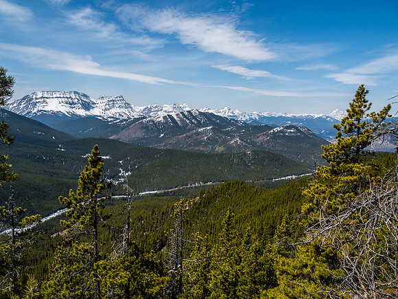 Some surprising views over the Forestry Trunk Road towards Coyote Hill, and Mount Armstrong and MacLaren.