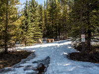 Turn near the rocks, uphill to the right. Into the bush.