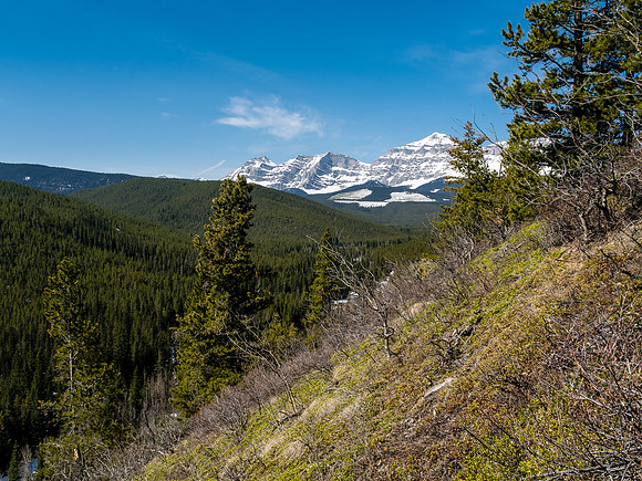 Descending to the valley.