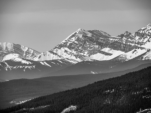 Summit Views.