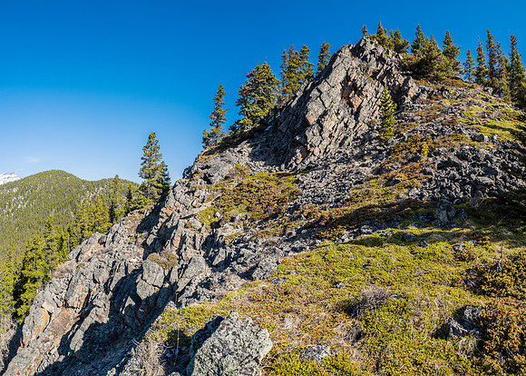 A lovely little bench where I spotted the dark colored Marmot before he ducked into the rocks.