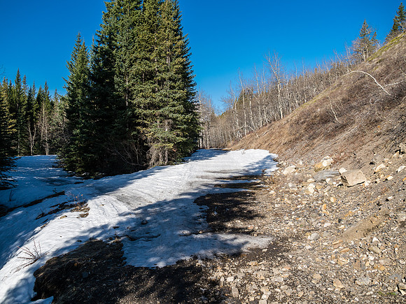 The road split here and so did I - heading up slope.