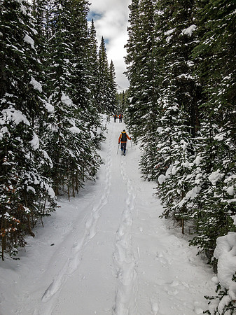 Hiking along the cutline.