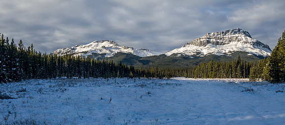 The open marshy areas with our two peaks in the distance.