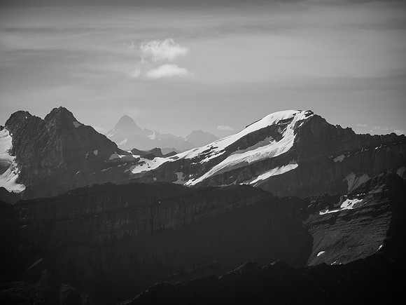 From L to R, Pika, Assiniboine and Richardson.