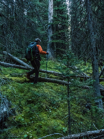 The bushwhacking isn't horrible on Molar's lower SW slopes but I'd still recommend avoiding as much of it as possible.
