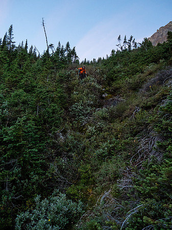 As usual with off-trail scrambles, there's some suck.